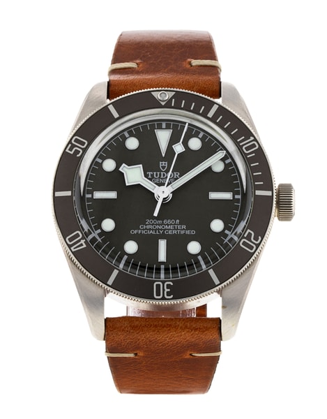 Tudor Black Bay 58 M79010SG-0001